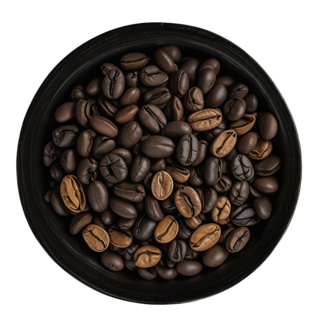 Arabica